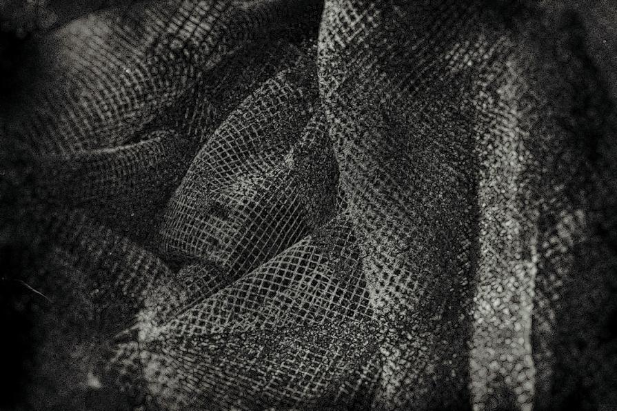 Fingiamo di essere liberi