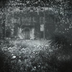 The last summer / EDITING del 2015