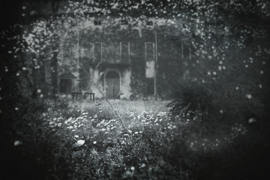 The last summer / EDITING del 2015