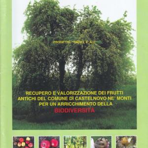 copertina dell'opuscolo del progetto scolastico