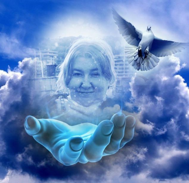 La vita che deve essere mia !!!