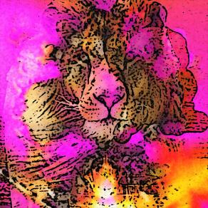 , , , Lo sappiamo io e te !!! . . . 