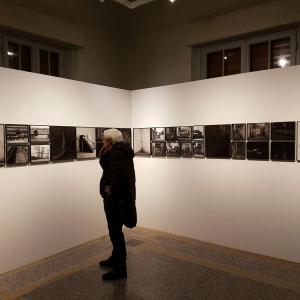 mostra viareggio