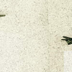 PRTL13Armstrzzt17A 03