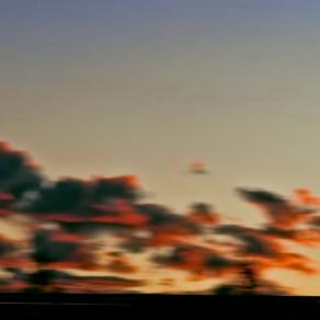 Troppo veloce per apprezzare la vita   - Too fast to appreciate life -