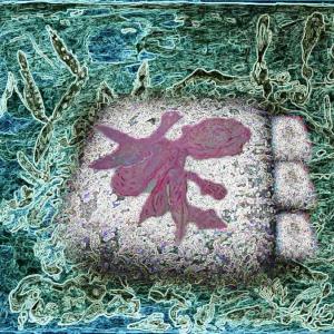 patience - a young girle must be in patience - 