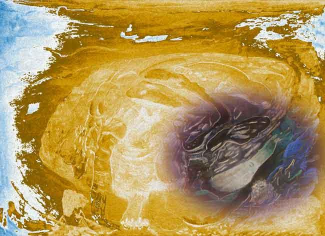    jump over your own shadow