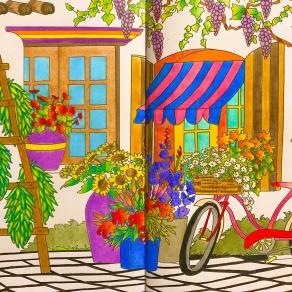 Spunta in giardino il primo fiore, solitario, coraggioso, sospende il tempo e colora l’aria...!!!