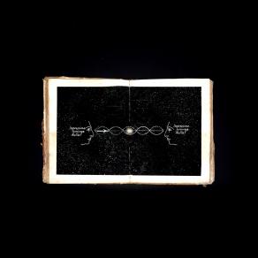 Letizia Ardillo- Il Nulla-