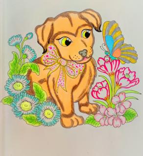 ... Vicino all'imprevedibile...!!!