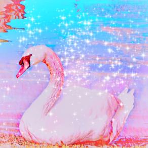             ... Specchio d'acqua !!! ...