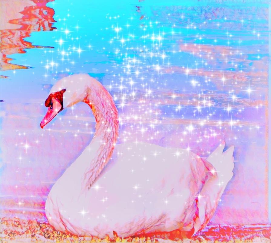             ... Specchio d'acqua !!! ...