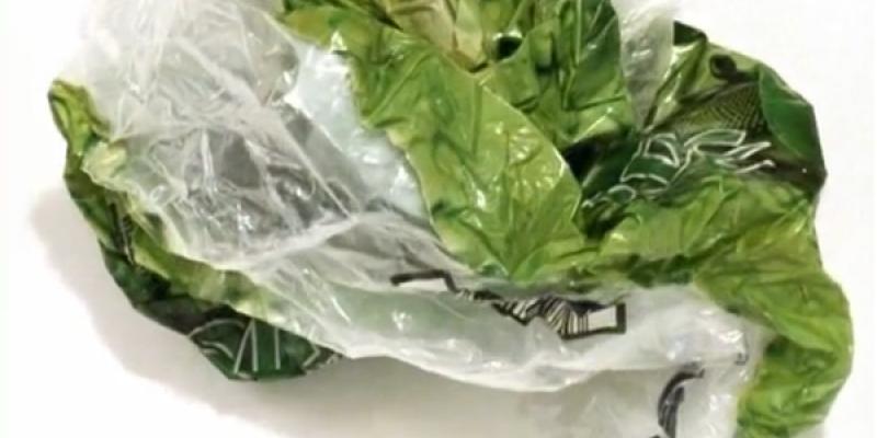 Flash Art | Giovani Video Artisti | Silvio Giordano