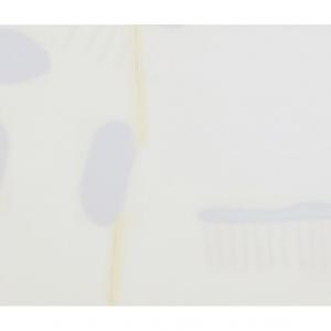 Claudio Gaddini, Lucide trasparenze