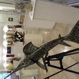 La SibillaRegina di Gerusalemme Ricerca, narrazione, performancee... pensieri in libertà La SibillaRegina di Gerusalemme Ricerca, narrazione, performancee... pensieri in libertà