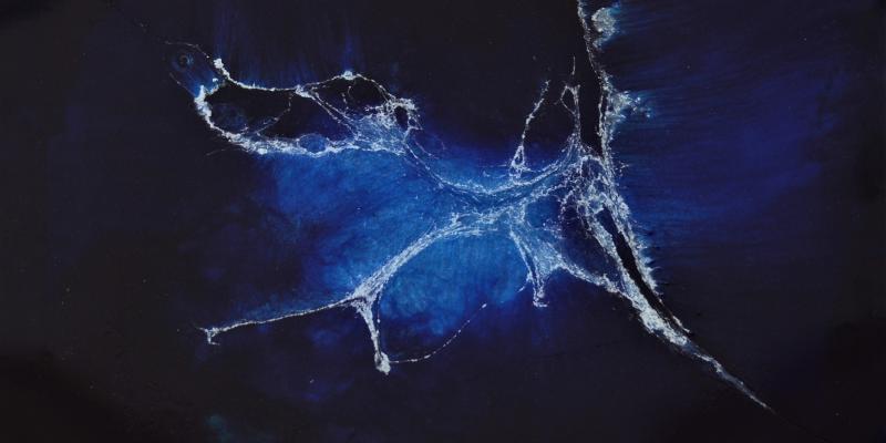 COLORE EMOZIONE Gianfacco e Luca Peroni 