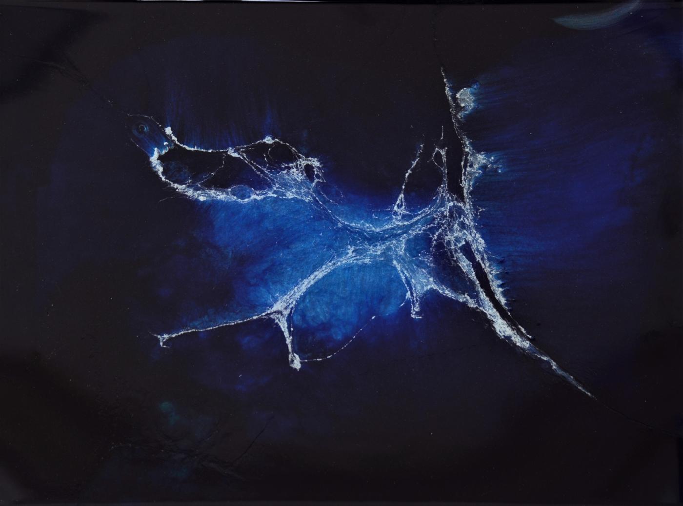 COLORE EMOZIONE Gianfacco e Luca Peroni 