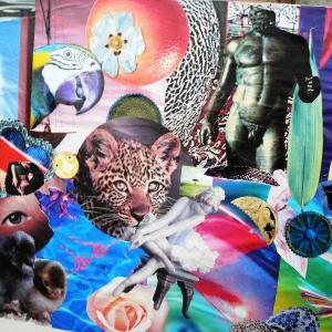 N O N  S I  S ' A R T