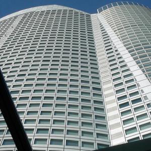 Japan. Tokyo lines / skyline