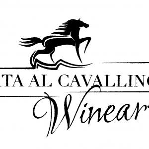 Tutto Maurizio in Veneto