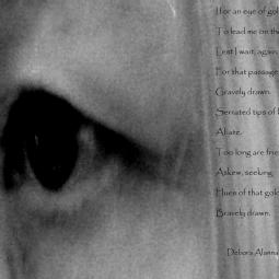 Embellish4art Embellish4art