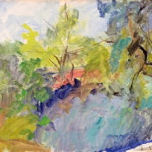 Dialogo con la Natura- oltre i 16:9