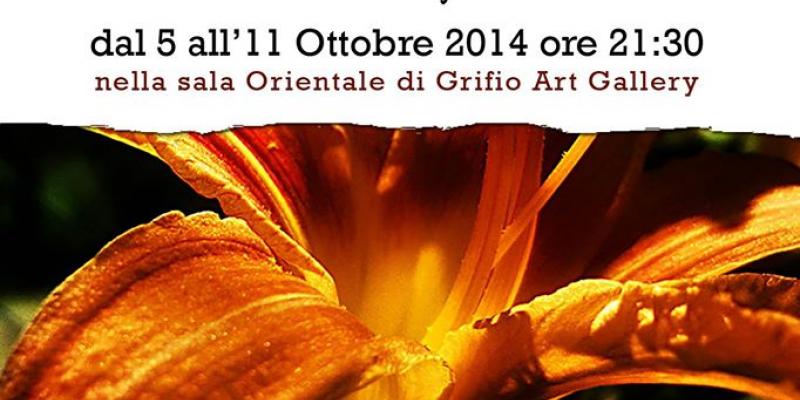 mini mostra personale on line mini mostra personale on line