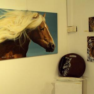 ZOO D'ARTE, L'ARCA DI NOè ALLA GALLERIA ARTEARTE DI MANTOVA