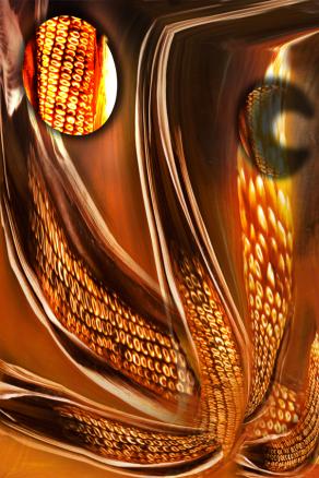 il fiore per la vita.