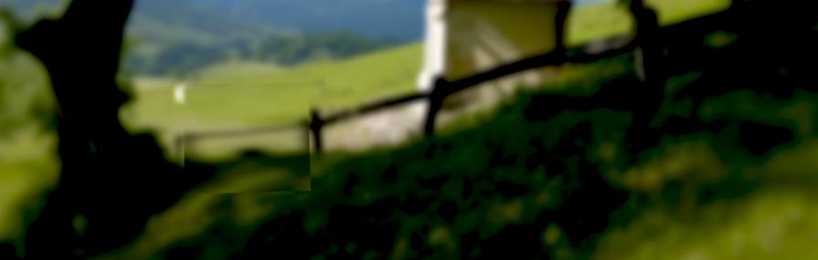 Censored_343_F Censored_343_F