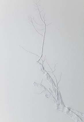 Detail of "DEEP EHITE"