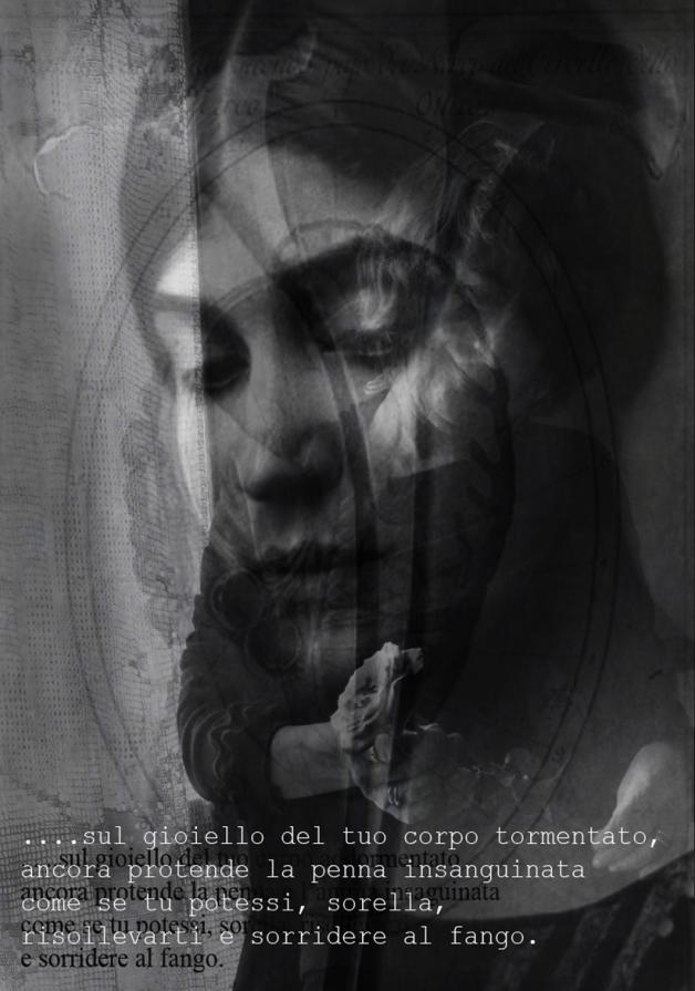 sharing of violence sharing of violence