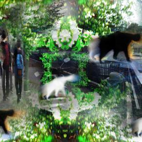 scena quotidiana, al di fuori della mia vetrina è una giungla strane presenze si muovono.