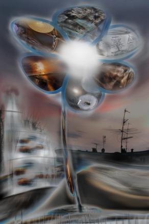 La rosa dei 6  petali