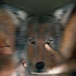 prima ascolta,poi rifletti ,sei libero poi di agire di conseguenza come desideri..