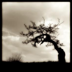 Roma 3 - fotografia di Augusto De Luca