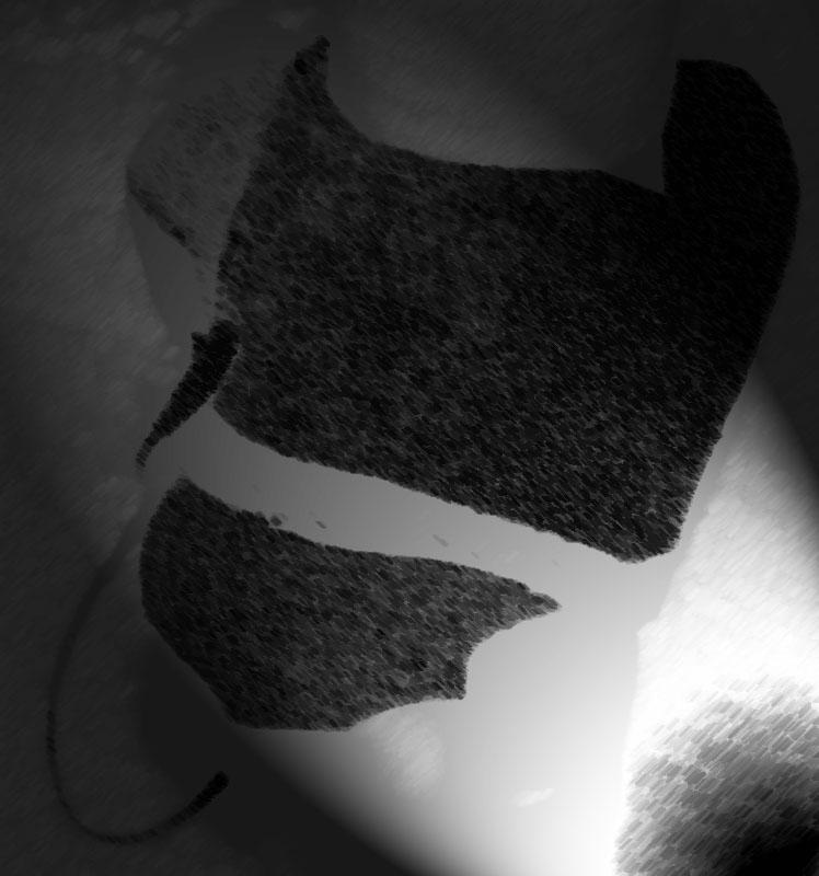 Frankenstein Bride, power failure , Interruzione di corrente 2013 Frankenstein Bride, power failure , Interruzione di corrente 2013