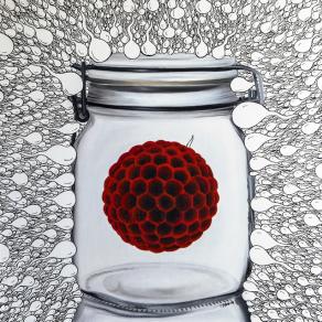 OK L'EVOLUZIONE E SE POI è UN COGLIONE?