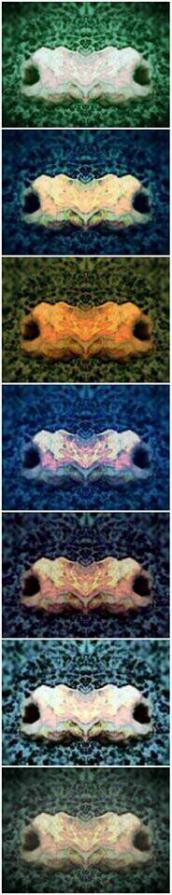 Hands Polychromatic n.5