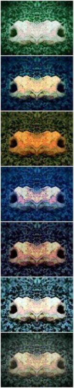 Hands Polychromatic n.5