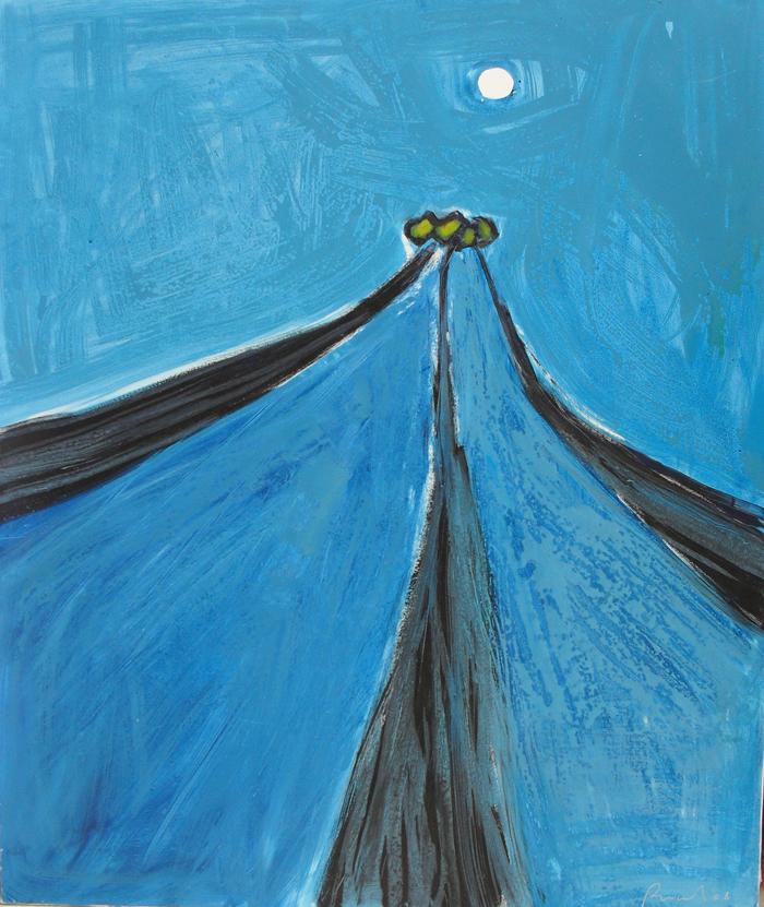 Dei pini marittimi,notturno