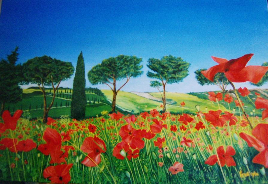 LG 0068 - Campo di papaveri - Toscana