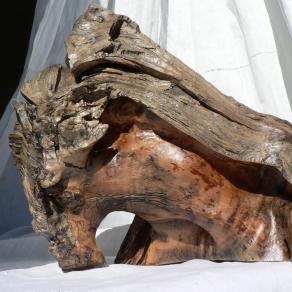 Discovering Aquila Mundi