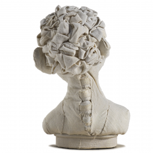 NS72a (Curly back) NS72a (Curly back)