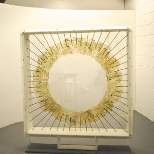 Overlap - Without additional lighting