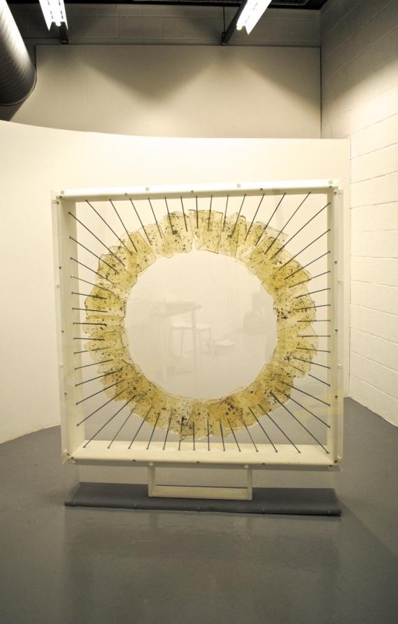 Overlap - Without additional lighting