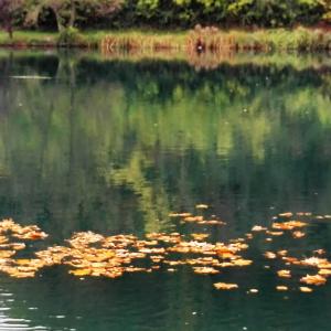 Il fiume Adda, la mia fonte di ispirazione.