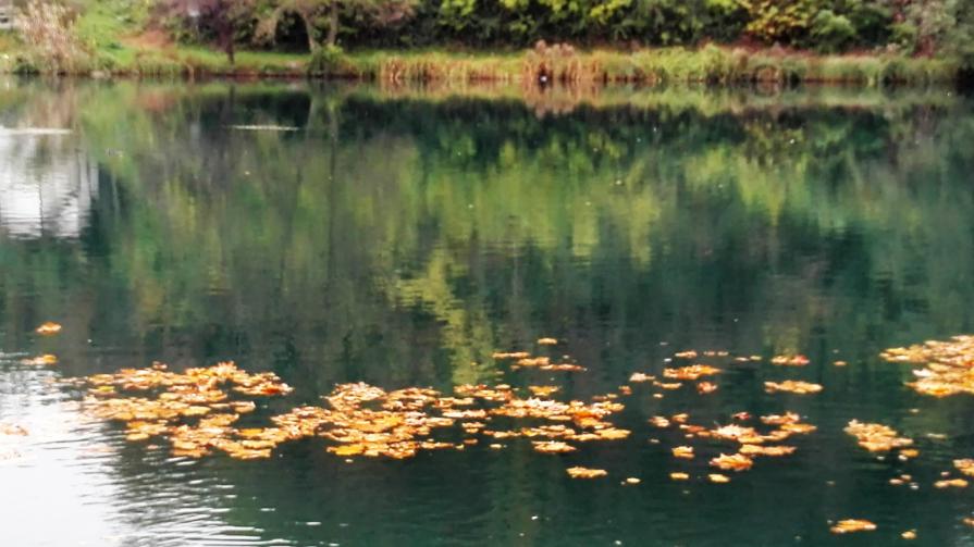 Il fiume Adda, la mia fonte di ispirazione.