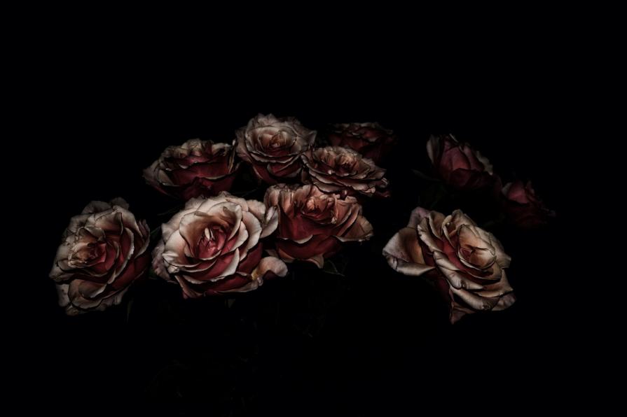 Roses for the desperate 