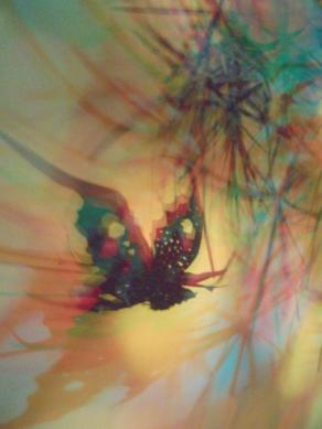 I COLORI DELLA BIODIVERSITÀ